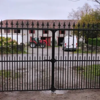 Portail métallique battant noir avec pointes, entrée de cour résidentielle